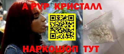 крисы Шелехов