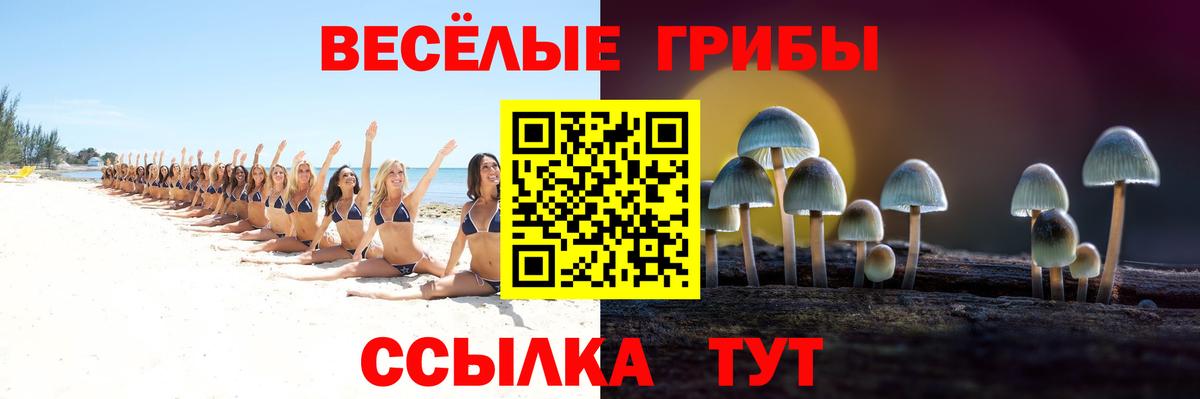 Псилоцибиновые грибы прущие грибы  Вход с VPN  Соликамск 